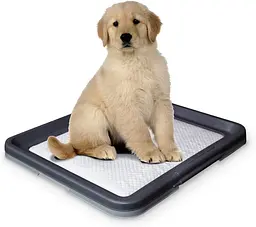 Туалет для собак Nobby Doggy Trainer 62,5х48х3,8 см 67151