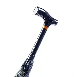 Тростина-парасолька ручної роботи Garcia Umbrella Walking Stick деревина бука код 1463 - мініатюра 3