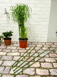 Опора для рослин Kinzo Garden 6 шт - мініатюра 6