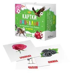 Картки навчальні Глена Домана №6 Майстер MKD0013 укр