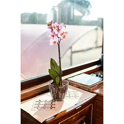 Вазон для орхідеї Serinova Orchid 3 л прозорий (20-OR0305200-200100) - мініатюра 4