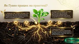Органічне добриво Nawoz z Guano 1 кг Zielony Dom - мініатюра 5
