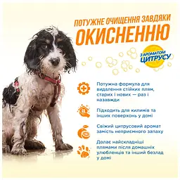 Спрей для тварин OUT! Orange Oxy Stain & Odor Remover для видалення плям і запаху від життєдіяльності собак та котів 9 (0010279700624) - мініатюра 2