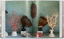 Cabinet of Curiosities - мініатюра 6