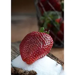 Саджанець Agro-Market Полуниця Луїза (Louise) 5шт (ремонтантний сорт) (37289) - мініатюра 5
