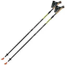 Палиці для скандинавської ходьби Gabel Cobra Re-Volution 3S (7008351300000)