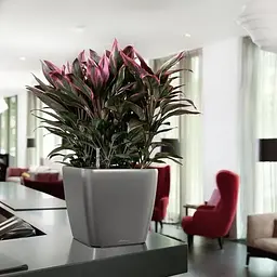 Вазон Lechuza Quadro Premium LS 28 антрацит (16143) - мініатюра 7