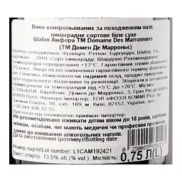 Вино Domaine des Marronniers Chablis Amph NonSulft біле сухе 12% 0.75 л - мініатюра 3
