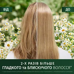 Спрей-кондиціонер для волосся Herbal Essences Smooth & Shine Chamomile All in 1, 145 мл - мініатюра 3