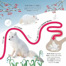 Follow the Trail. Winter Wonderland. Take a Peek! Fun Finger Trails! - - мініатюра 6
