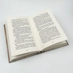 Серця наґів - Лі Йондо | BookChef, книга українською, нова, тверда - мініатюра 3