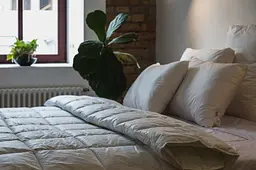 Ковдра Ecotton Ecofill Premium 200х210 см Євро антиалергенна з біопухом біла в чохлі для зберігання (25083) - мініатюра 5