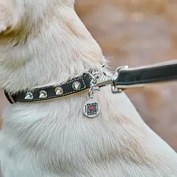 Нашийник для собак Waudog Soft з QR паспортом шкіряний з шипами Ш 35 мм, Д 46-60 см чорний - мініатюра 5