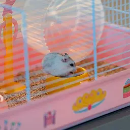 Клітка Ferplast Cage Criceti 9 Princess для хом`яків - мініатюра 4