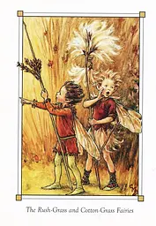Flower Fairies of the Winter - мініатюра 12