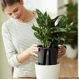 Вставка з автополивом Elho self-watering insert 17см (331566) - мініатюра 6