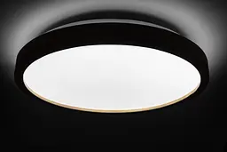 Стельовий світильник Wood матовий 60W 375 x 60 мм 3000К-6500К з ДК акація - мініатюра 4