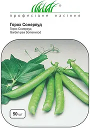Насіння гороху Сомервуд 50 шт (Професійне насіння)