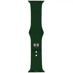 Ремінець Apple Watch Silicone 42/44/45/46/49 мм Зелений L