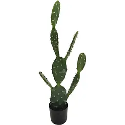 Штучна рослина Engard Cactus 75 cм (TW-41)