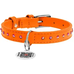 Нашийник для собак Waudog Glamour, шкіряний, зі стразами, з QR паспортом, S, 21-29х1,2 см, помаранчевий