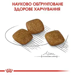 Сухий корм для собак малих порід, чутливих до змін середовища Royal Canin Mini Relax Care, 3 кг (1224030) - мініатюра 5