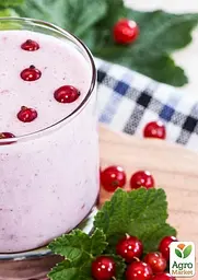 Саджанець Agro-Market Порічка (смородина) червона Олімп Olympus) преміальний високоврожайний сорт) 1 шт. в пакуванні (24205) - мініатюра 3