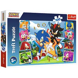 Пазл Trefl Sonic Зустрічайте Соніка 100 елементів (5900511164657)
