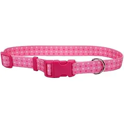 Нашийник для собак Coastal Pet Attire Style 2.5х46-66см
