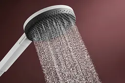 Ручний душ Hansgrohe Raindance Alive Select S EcoSmart matt white 24511700 - мініатюра 4