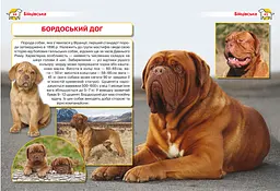 Енциклопедія Кристал Бук Собаки (F00028100) - мініатюра 2