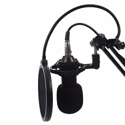 Конденсаторний мікрофон студійний RIAS М800U з вітрозахистом Black (3_04683) - мініатюра 2