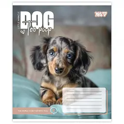 Набір зошитів Yes Dog too pup А5 12 аркушів у лінію 25 шт. (768732) - мініатюра 6