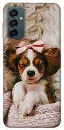 TPU чохол Demsky Sleepy spaniel для Samsung Galaxy M14 5G