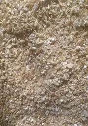 Шиїтаке імператорський 10 г - мініатюра 2