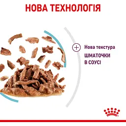 Набір вологого корму для дорослих котів Royal Canin Sensory Smell Gravy шматочки в соусі 1.02 кг (12 шт. х 85 г) - мініатюра 7