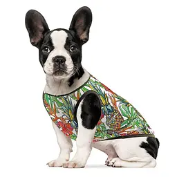 Боротьба Pet Fashion Ріо для собак, розмір XXS, принт