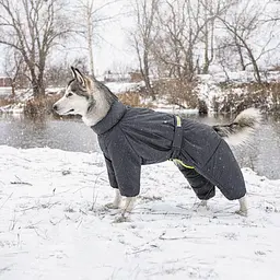 Комбінезон Pet Fashion Cold для собак, розмір ML, сірий - мініатюра 10