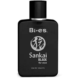 Туалетна вода для чоловіків BI-ES 100мл "Sankai Black"