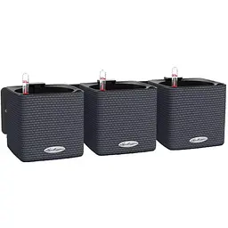 Комплект вазонів з кріпленням Lechuza Green Wall Home Kit Color 48х6х14 см сірий (13399)