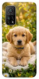 TPU чохол Demsky Small labradore для Xiaomi Mi 10T