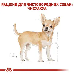 Вологий корм Royal Canin Chihuahua Adult для собак породи Чихуахуа 85 г (2041001) - мініатюра 3