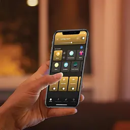 Лампочка Philips Hue White E27 Filament G93 550 lm, тепле біле світло, затемнене, кероване через програму, сумісне з Amazon Alexa - мініатюра 4