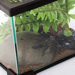Тераріум Repti-Zoo 21x21x15см (AK01BG) - мініатюра 3