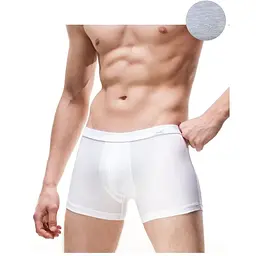 Чоловічі труси-шорти 223 Perfect mini-Authentic Cornette меланжеві 2XL
