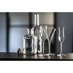 Келих для мартіні Schott Zwiesel Bar Special 166 мл 1 шт. (111231) - мініатюра 6