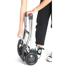 Сумка-візок Rolser Big Polar 2 Negro (BIG001-1023) (931439) - мініатюра 10