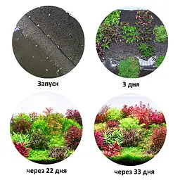 Грунт для акваріума Aquario Neo Soil Plant 8 л (neo-soil-plant-8)