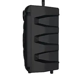 Акустична система Goldteller GT-6020 валіза з караоке 1800 mAh 30W Black (3_00447) - мініатюра 4