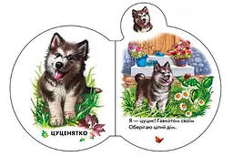 Малята: У селі Ранок М411016У Різнокольоровий (9789667508593) shop (9789667508593) - мініатюра 2